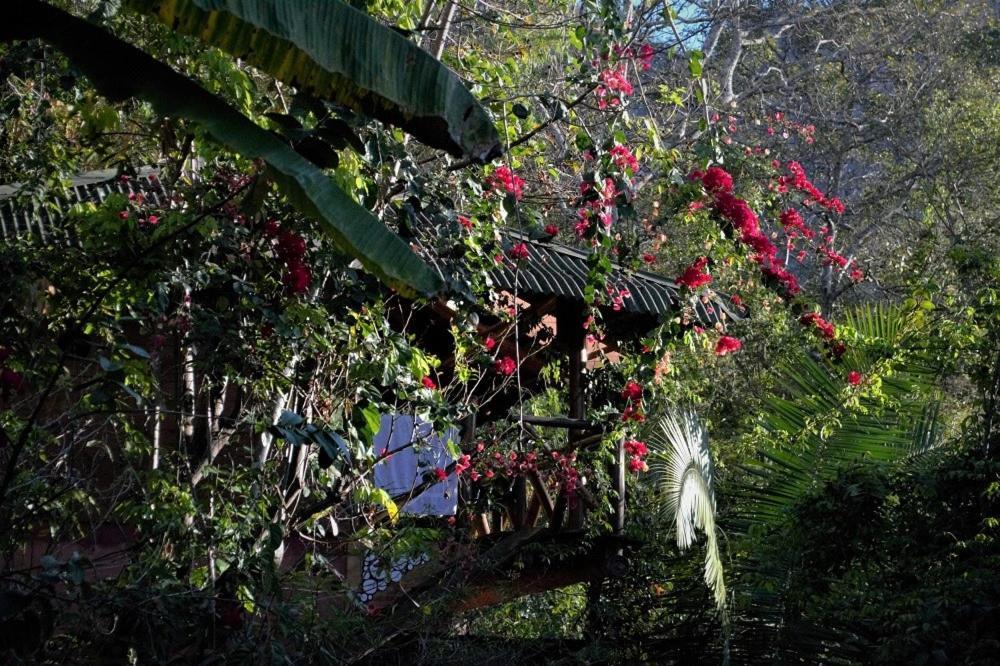 Mariri Jungle Lodge Alto Paraíso de Goiás 외부 사진