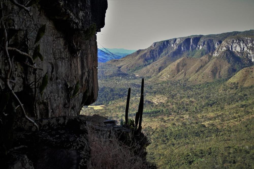 Mariri Jungle Lodge Alto Paraíso de Goiás 외부 사진