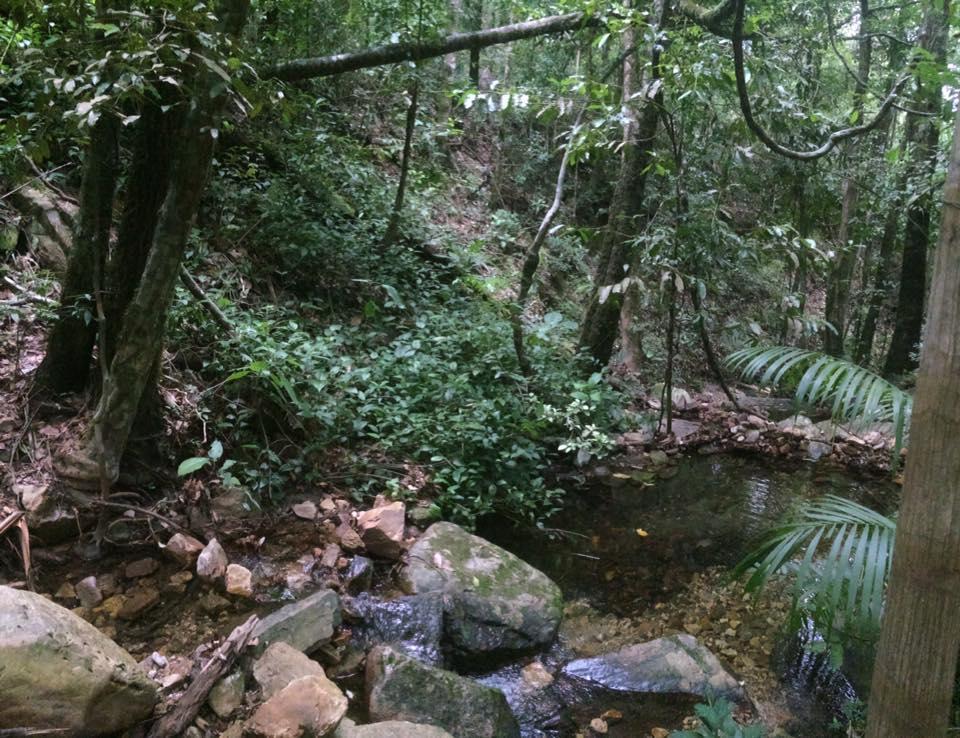 Mariri Jungle Lodge Alto Paraíso de Goiás 외부 사진