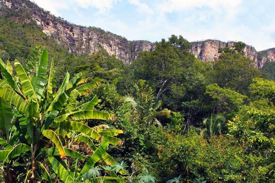 Mariri Jungle Lodge Alto Paraíso de Goiás 외부 사진