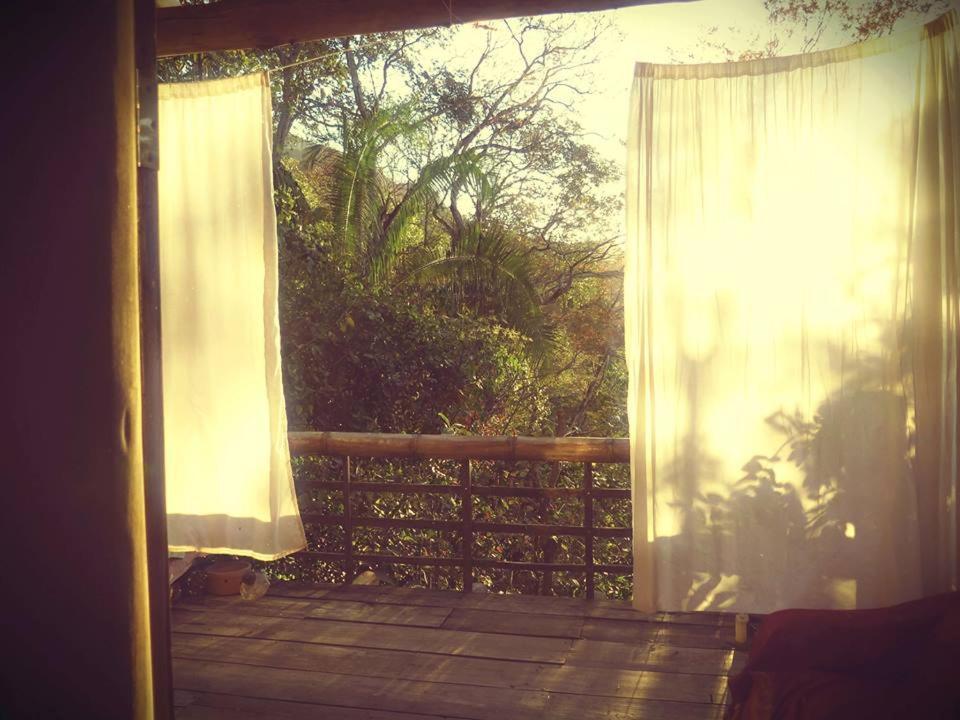 Mariri Jungle Lodge Alto Paraíso de Goiás 외부 사진